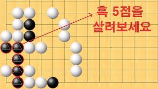 바둑 맥점 사활 - 감탄이 절로 나오는 묘수가 나옵니다. 흑 5점을 살려보세요