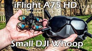 iFlight A75 HD // Fly DJI Inside // Best indoor DJI I have flown