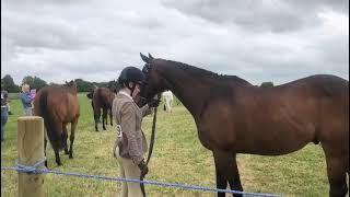 Doncaster Equine College Annual Show 2023