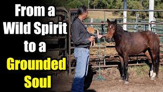 From a Wild Spirit to a Grounded Soul - Horse Plus Happenings #9 - 10-8-24