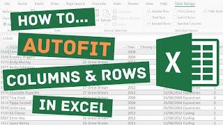 How to Autofit a Column in Excel