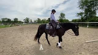 Western Dressage Horsemanship Level 1 Pattern B #190 Kristin Kill and Glorificado