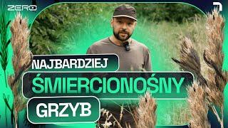 SPORYSZ - NIEPOZORNY I PODSTĘPNY GRZYB. PRZYCZYNA EPIDEMII HALUCYNACJI I GANGREN | GATUNEK ZERO #23