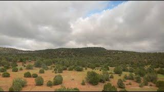 Relax with Slow TV of Amtrak’s Southwest Chief through New Mexico (EXTENDED CLIP)