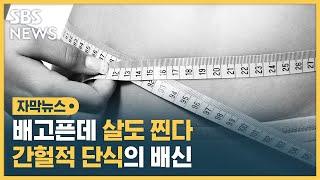 배고픈데 살도 찐다…간헐적 단식의 배신 (자막뉴스) / SBS