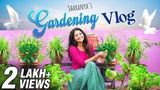 Welcome to my TERRACE GARDEN | Sharanya's Gardening VLOG | Rooftop Garden Ideas | Sharanya Turadi