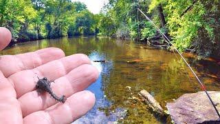 How To Catch Dinner From A Creek! Easy To Catch Panfish