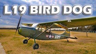 L19 Bird Dog (Cessna 170 Variant) - Flight & Interview