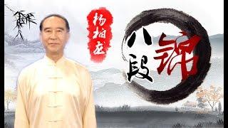 健身气功-八段锦（杨柏龙）