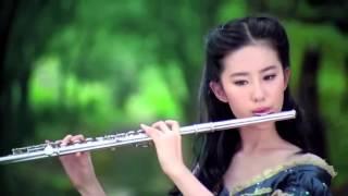 Beautiful Chinese Music【31】Traditional【The Red Plum Blossoms】