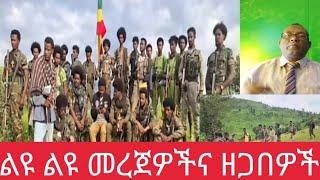 የመልካ ሚድያ መረጀዎች 8 March 2025