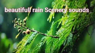 Beautifull Rain Scenery with neture sound #funny #love # rain music # ongole padmavathi