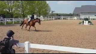 Gabrielle Gallant and Hat Trick at Palgrave, May 18 2017