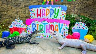 Epic 1st Birthday Bash for Mystic & Mayhem: Rare Leucistic Alligators!