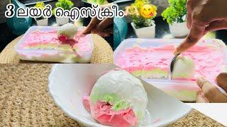 ഒരു വെടിക്ക് മൂന്ന് പക്ഷി/ Ice cream recipe Malayalam/Easy ice cream recipe at home/Easy ice cream