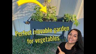 FOYUEE Raised Planter Box Review