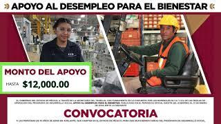 Cómo Registrarme en el programa de APOYO AL DESEMPLEO PARA EL BIENESTAR 2024   Hasta 12,000 pesos