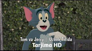 Tom va Jerry | Uzbek tilida 2022