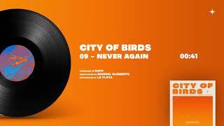 Rayo - 09 NEVER AGAIN [City Of Birds]