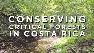 Conserving Costa Rican Forests: Help the Guanacaste Water Center