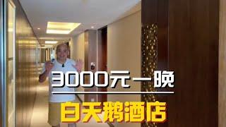 带大家看下广州五星级的白天鹅酒店，3000元住一晚是什么体验