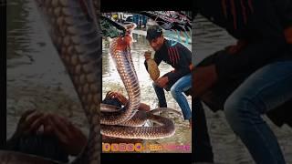 30 Nov | Nagin snake vfx funny magic video | Cobra vs baby & man| Kinemaster editing |Ayan #comedy 