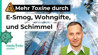 Chronische Infektionen: Mehr Toxine durch E-Smog, Wohngifte & Schimmepilze ️ C. Blank