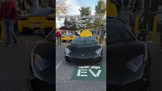 Cars That Are Rarer Than You Think #supercar #carspot #sportscar #cartok #funny #lamborghini #phonk