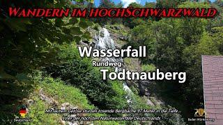 Wasserfall Rundweg | Todtnauberg | Schwarzwald | Blackforest | DE