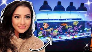 Reef Tank Update - New Fish, Bacteria Blooms & Other Mysteries!