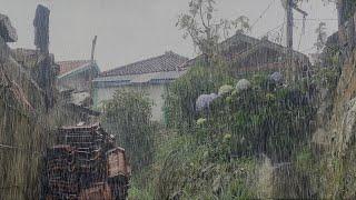 Almost Flooded! Very Heavy Rain Hits My Village || Suitable for Fast Sleep