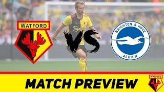 Watford vs Brighton | Match Preview