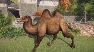 Planet Zoo: Bactrian Camel