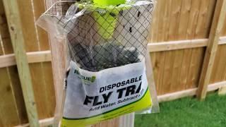 Easily Catch THOUSANDS of Flies