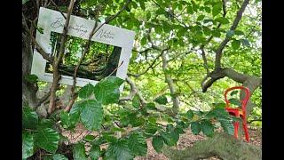 Photobook about art-project BODYPAINT IN NATURE by artist Jörg Düsterwald