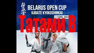 Международный турнир "Belarus Open cup 2023"