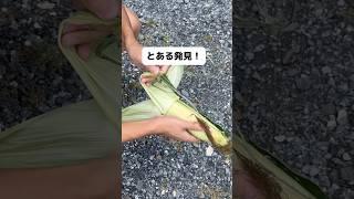 新たな料理方法