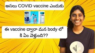 Why should we take COVID vaccine|Subha Veerapaneni|Telugu traveller|Telugu vlogs