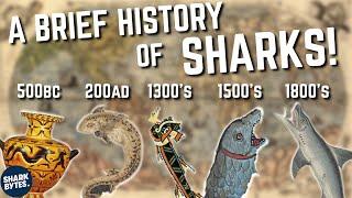 From Myth to Reality: Sharks in Ancient and Medieval History