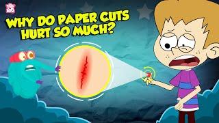 Why Do Paper Cuts Hurt So Much? | How Does Your Brain Respond to Pain? | The Dr. Binocs Show