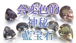 【变色蓝宝石】【Color change sapphire】【日本的宝石商】会变色的神秘蓝宝石！仅限 5 颗宝石【Central Gem Laboratory】