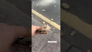 Передний план в фото и видео. Фотограф -Астахова Мария про обучение astakhovaphoto.ru