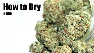 Drying and Curing Hemp