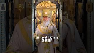Кто такой пастырь добрый / Подписывайтесь на Telegram @BishopAugustine, ссылка в описании
