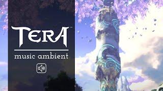 Tera's Calm Music: 1 Hour of Immersive Ambient