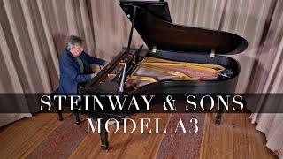 Steinway Model A3 Stretch Grand Piano for Sale | Best Steinway Piano | Living Piano