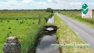 Dans le Pnr des Marais du Cotentin et du Bessin au printemps : le Cotentin