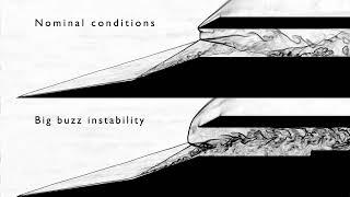 Hypersonic intake dynamics