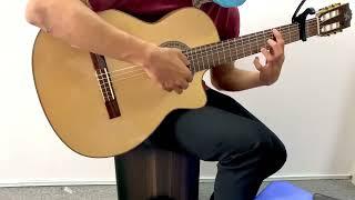 Guitar Bình Nguyên C450 - Solo Lại Gần Hôn Anh  - Nhạc Cụ Minh Đức