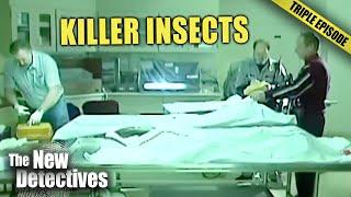 Poisonous bugs claim two victims | TRIPLE EPISODE | The New Detectives